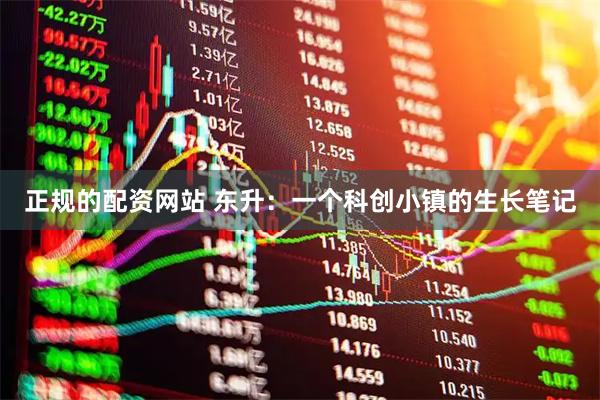 正规的配资网站 东升：一个科创小镇的生长笔记