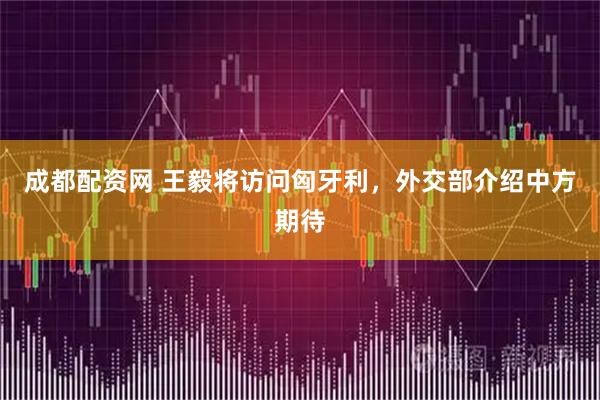 成都配资网 王毅将访问匈牙利，外交部介绍中方期待