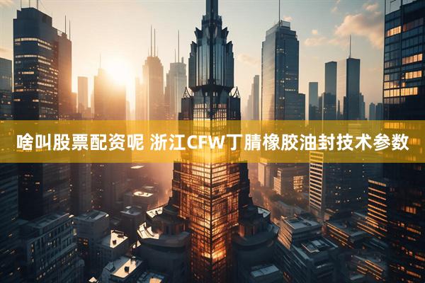 啥叫股票配资呢 浙江CFW丁腈橡胶油封技术参数